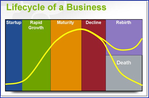 Company Life Cycle | Economic Consultants